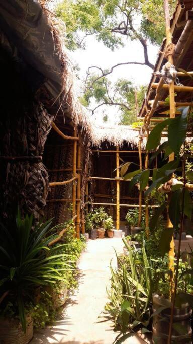 The Vintage House Villa Mysore Exterior foto