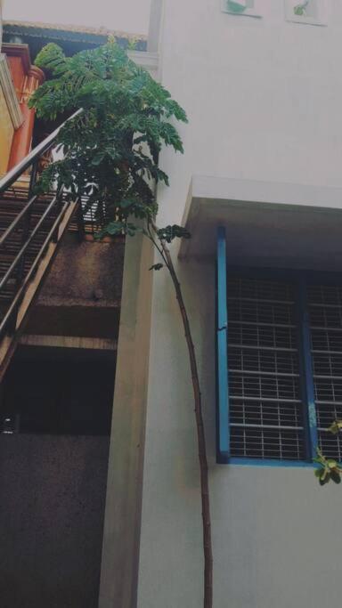 The Vintage House Villa Mysore Exterior foto